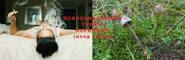 кристаллы Нея